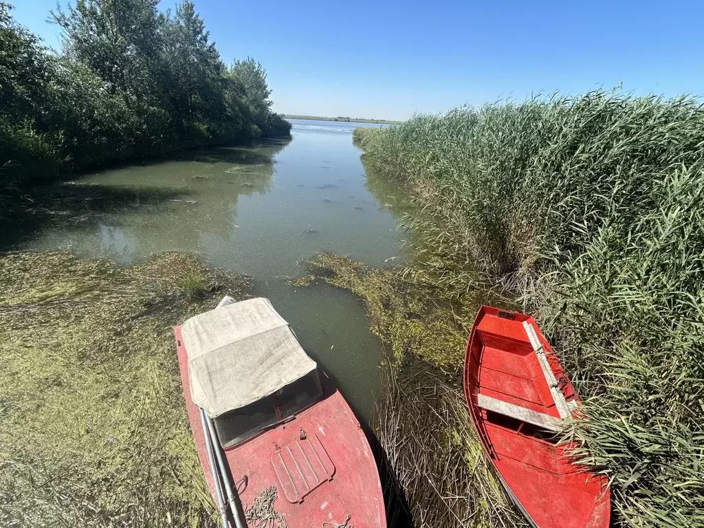 Участок в Ростовская область, Азовский район, Елизаветинское с/пос, ... - Фото 2