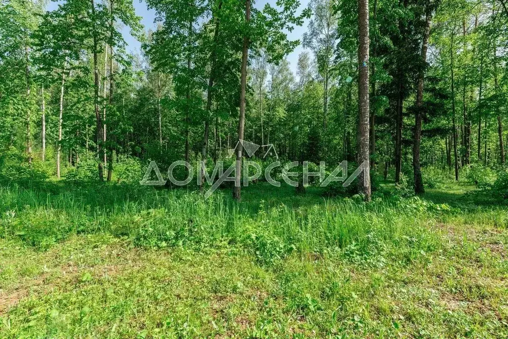 Участок в Москва д. Романцево,  (400.0 сот.) - Фото 1