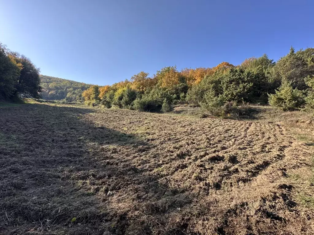 Участок в Севастополь Балаклавский р-н, Терновский муниципальный ... - Фото 1