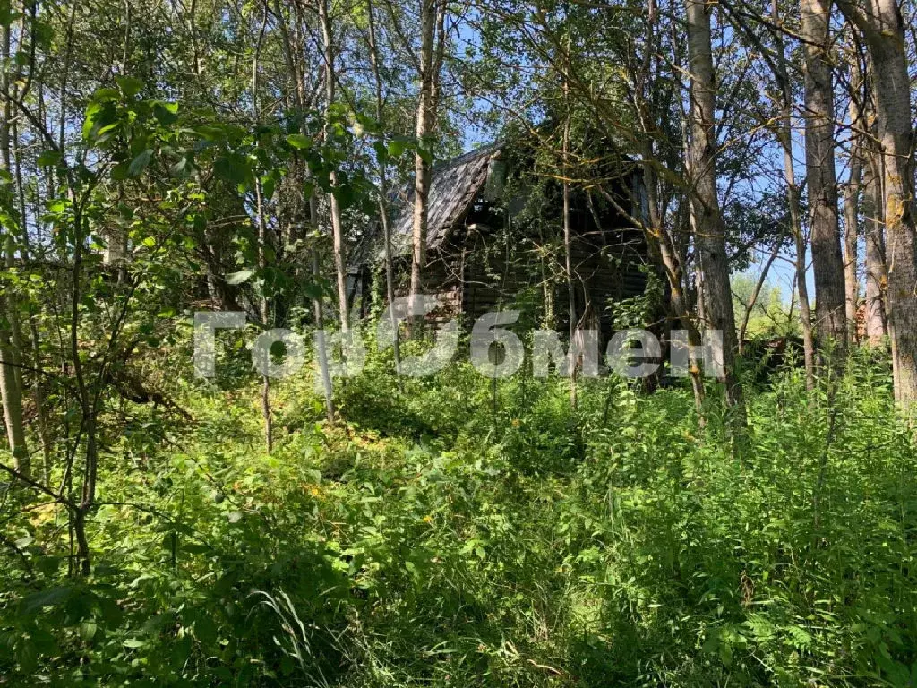 Продается участок в СНТ Нерудник - Фото 2