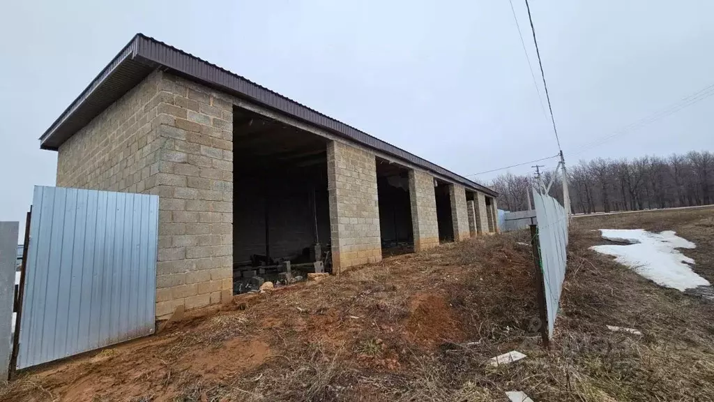 Помещение свободного назначения в Башкортостан, Аургазинский район, с. ... - Фото 0