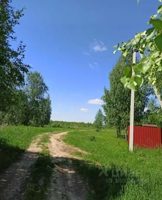 Участок в Марий Эл, Килемарский муниципальный округ, д. Мазикино ул. ... - Фото 0