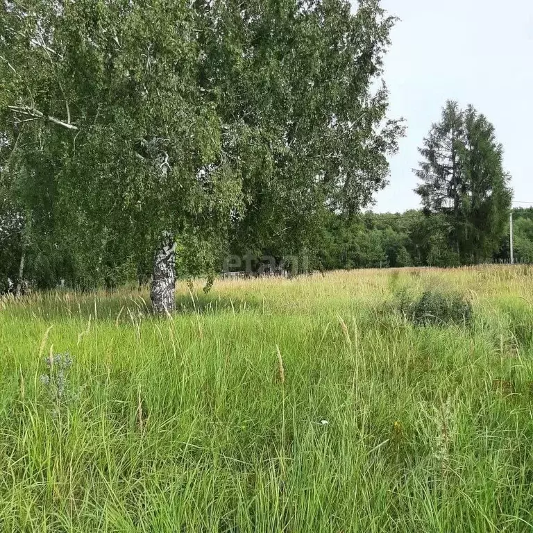 Участок в Татарстан, Лаишевский район, Нармонское с/пос, с. Тетеево ... - Фото 1