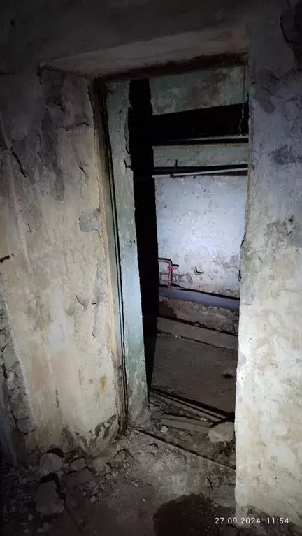 Помещение свободного назначения в Новосибирская область, Новосибирск ... - Фото 1