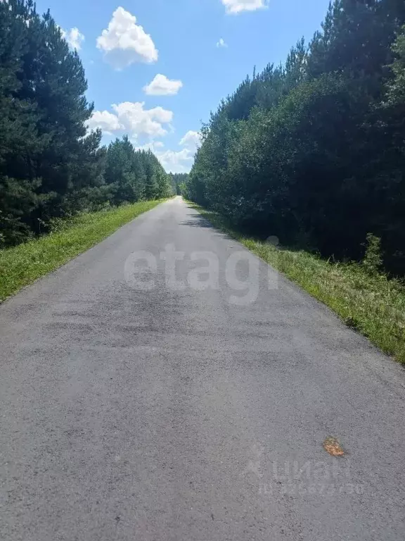 Участок в Липецкая область, Чаплыгинский муниципальный округ, с. ... - Фото 1