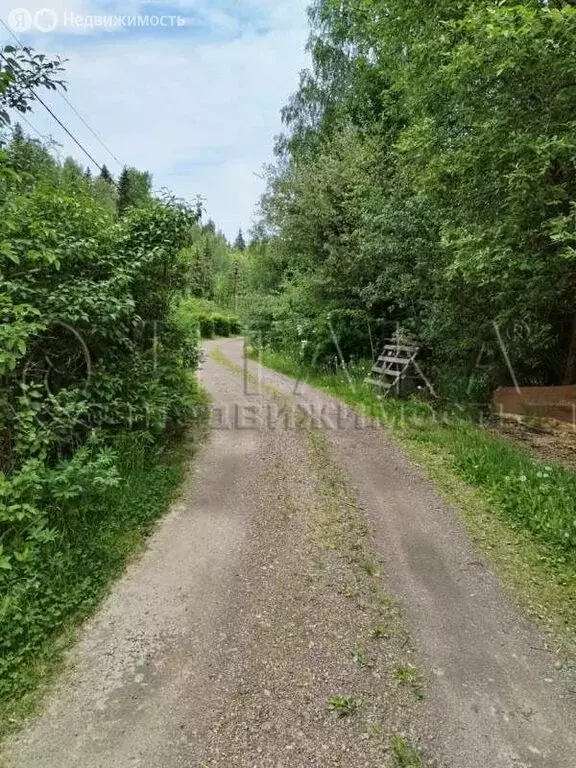 Участок в Выборгский район, Каменногорское городское поселение, ... - Фото 0