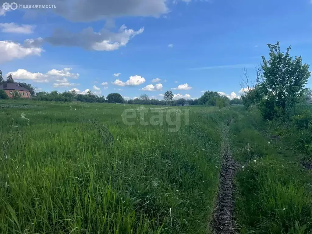 Участок в село Ближнее, Луговая улица (27 м) - Фото 2