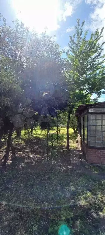 Дача 20 м на участке 6 сот. - Фото 1