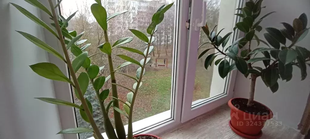 3-к кв. Смоленская область, Смоленск ул. Николаева, 47А (73.0 м) - Фото 2