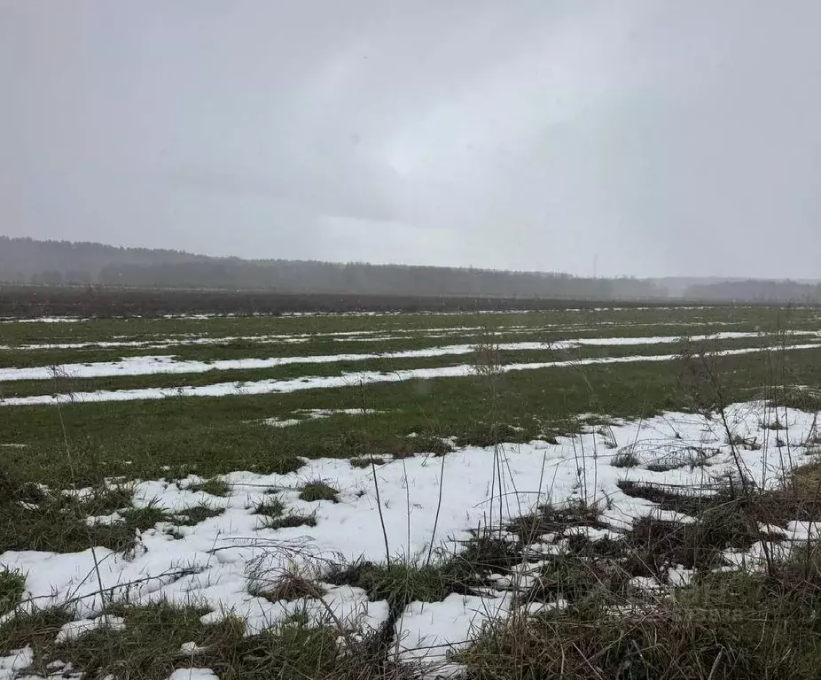 Участок в Московская область, Богородский городской округ, д. Соколово ... - Фото 2