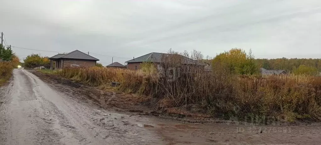 Участок в Брянская область, Брянский район, Снежское с/пос, с. ... - Фото 1