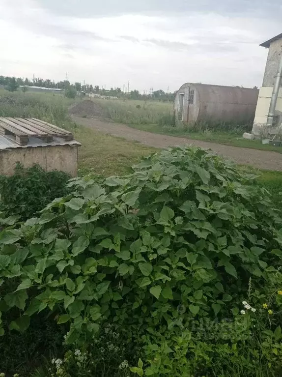 Участок в Саратовская область, д. Козлаковка  (10.0 сот.) - Фото 1