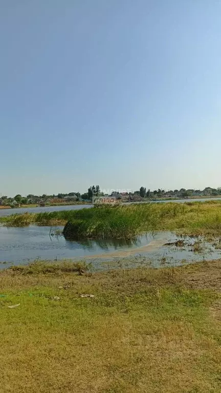 Дом в Астраханская область, Икрянинский район, с. Оранжереи ул. ... - Фото 0