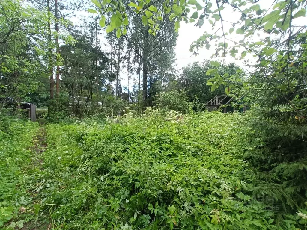 Участок в Ленинградская область, Гатчинский район, Вырица городской ... - Фото 0