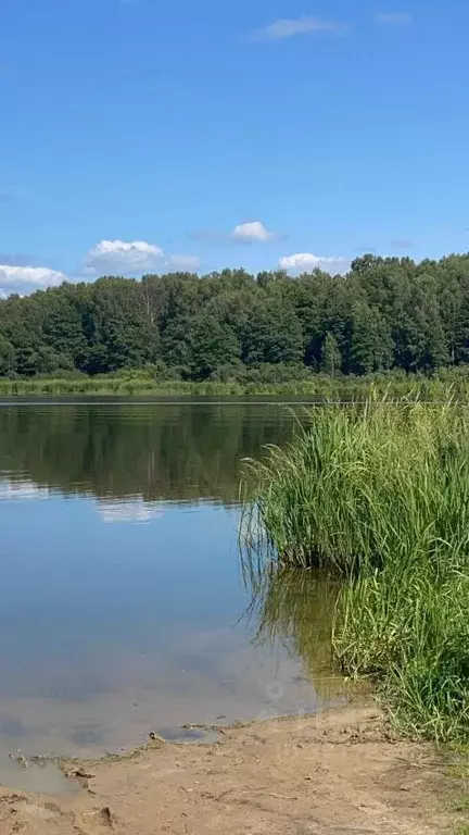 Участок в Тверская область, Конаковский муниципальный округ, д. ... - Фото 1