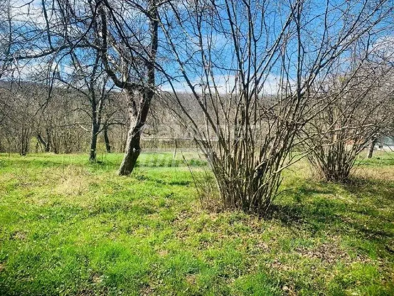 Участок в Краснодарский край, Апшеронский район, с. Черниговское ... - Фото 2