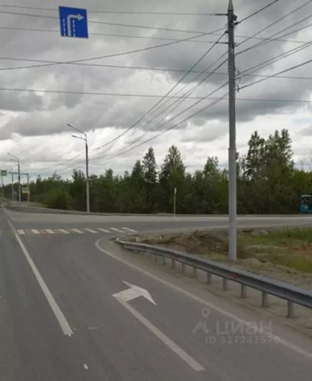 Участок в Новосибирская область, Новосибирский район, Криводановский ... - Фото 1