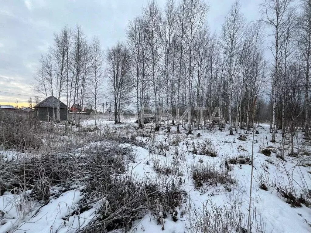 Участок в Тюменская область, Нижнетавдинский район, Сочинские СНТ  ... - Фото 0