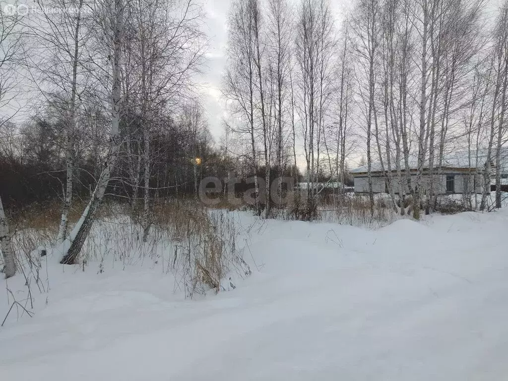 Участок в Шадринск, Союзная улица (13 м) - Фото 1