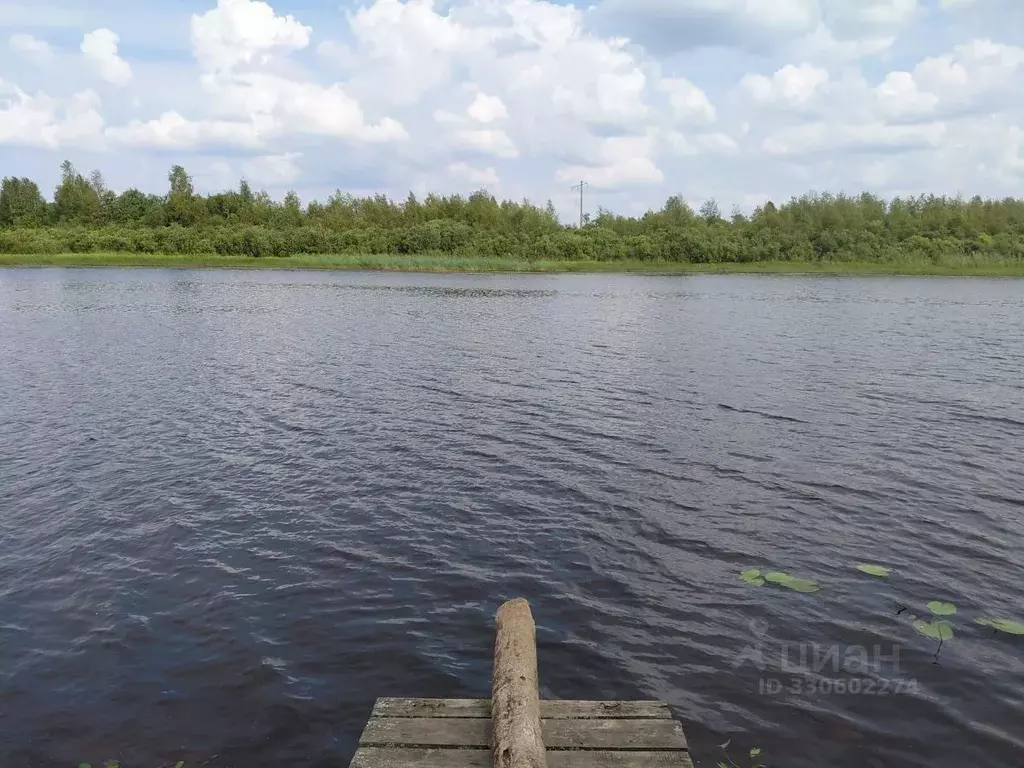 Дом в Ленинградская область, Лодейнопольский район, Доможировское ... - Фото 1