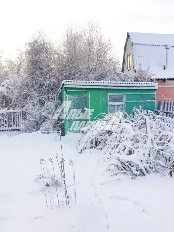 Дом в Омская область, Омск Виктория СНТ,  (40 м) - Фото 1