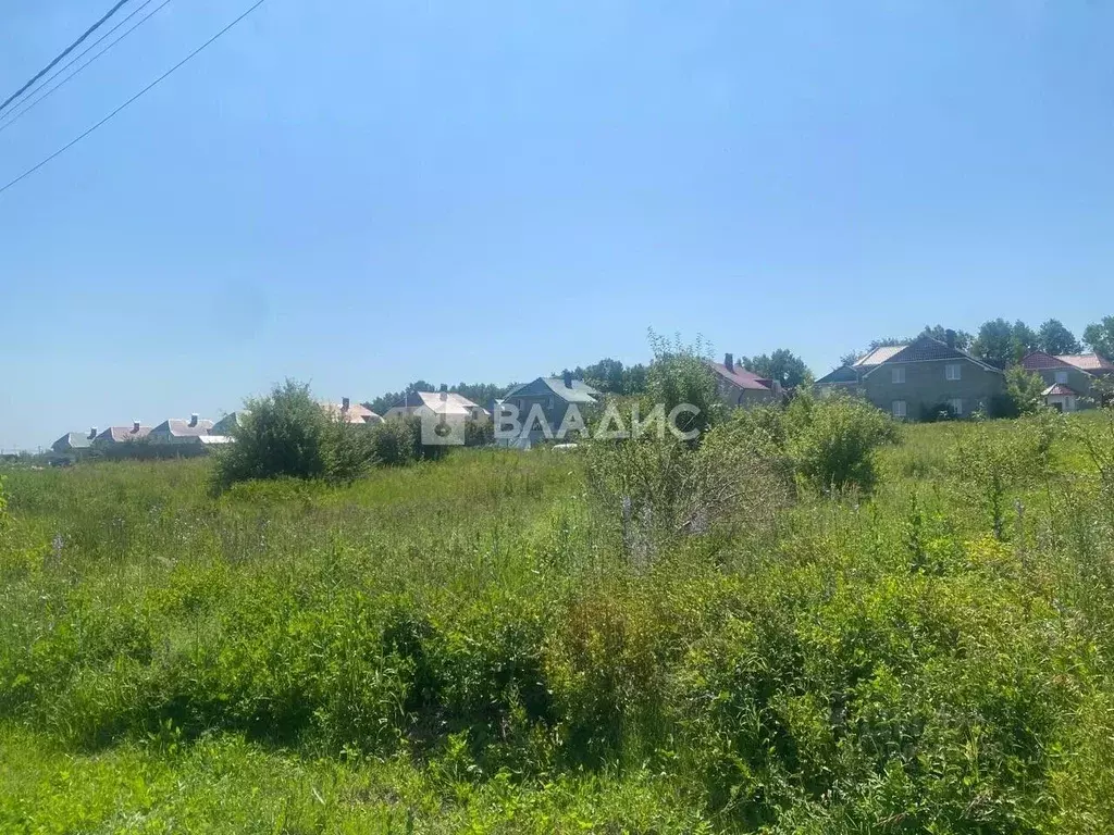 Участок в Пензенская область, с. Бессоновка ул. Каштановая, 18 (10.0 ... - Фото 0