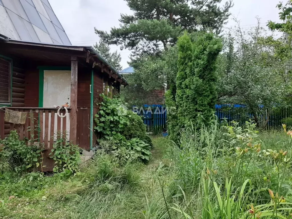 Участок в Москва Рубин СНТ, 129 (6.07 сот.) - Фото 1