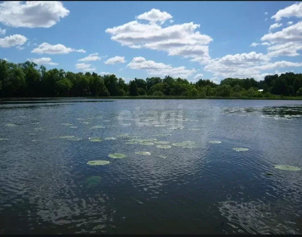 Участок в Московская область, Химки Клязьма-Старбеево мкр, ... - Фото 2
