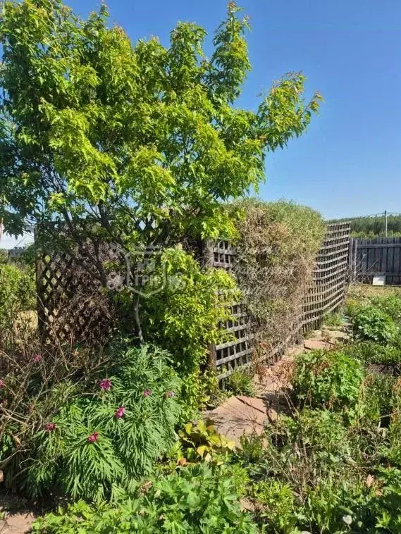 Участок в Иркутская область, Иркутский муниципальный округ, Маркова рп ... - Фото 1