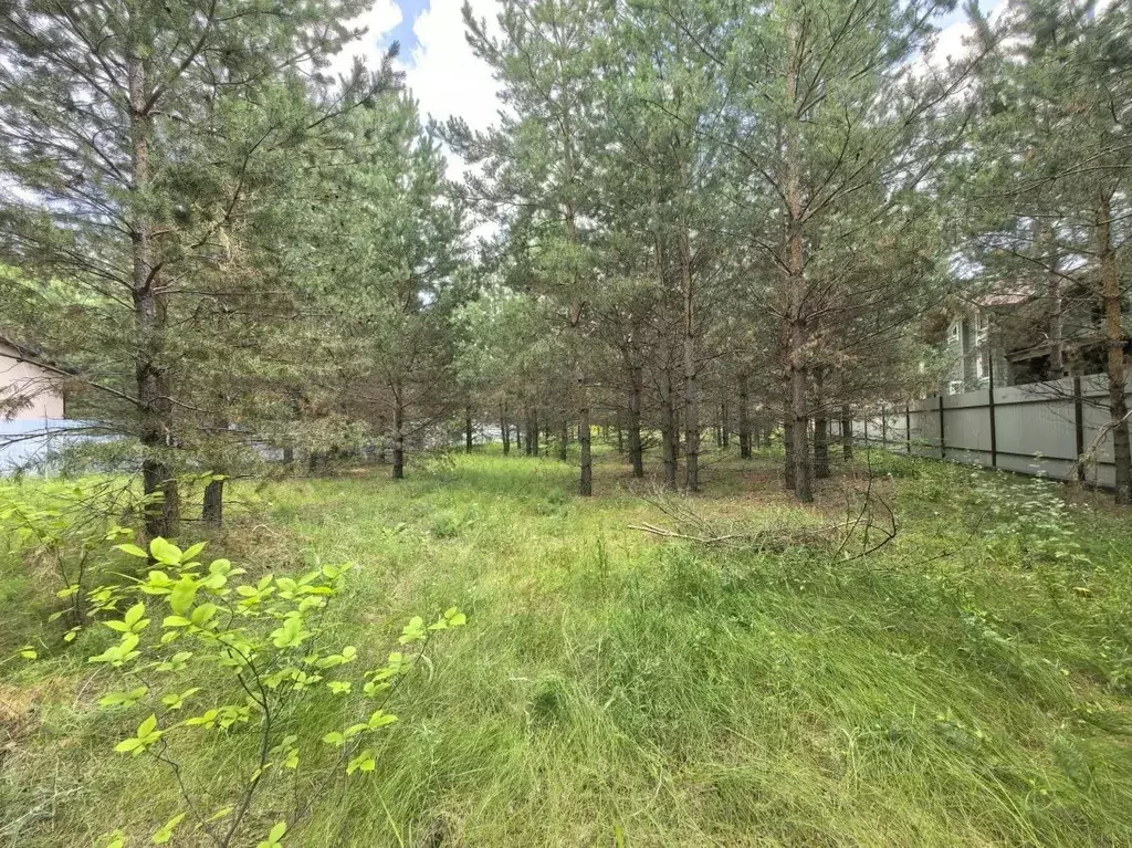 Участок в Самарская область, Красноярский район, Светлое Поле с/пос, ... - Фото 2