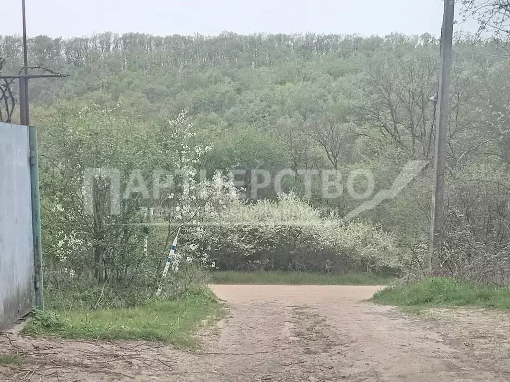 Участок в Краснодарский край, Абинск Дружба садовое товарищество, ул. ... - Фото 0