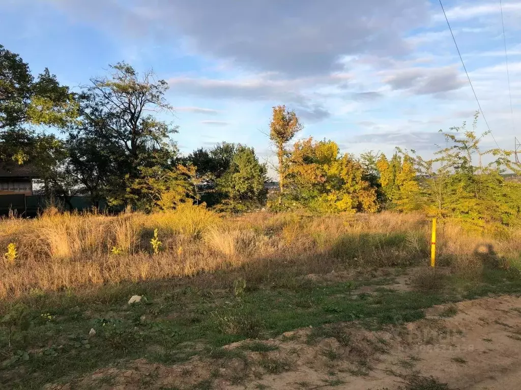 Участок в Ростовская область, Аксайский район, Большелогское с/пос, ... - Фото 2