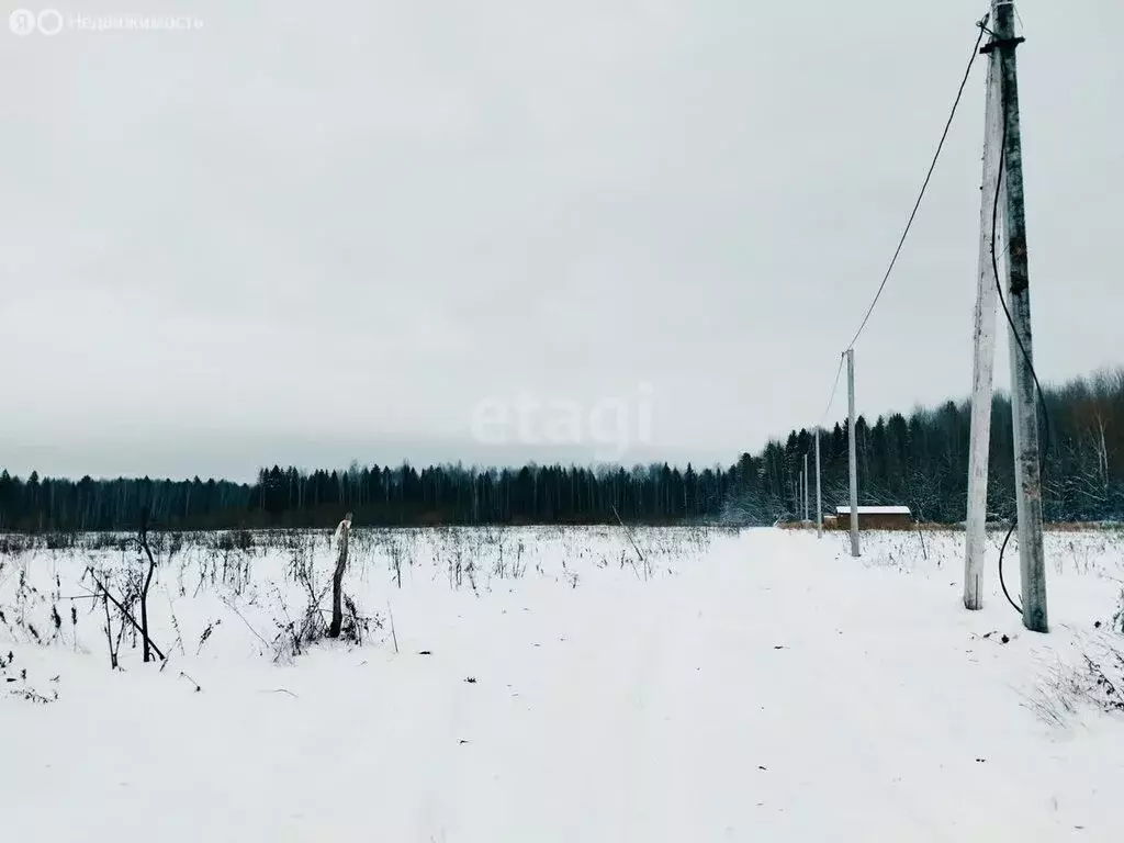 Участок в Пермский муниципальный округ, деревня Скобелевка (12.5 м) - Фото 1