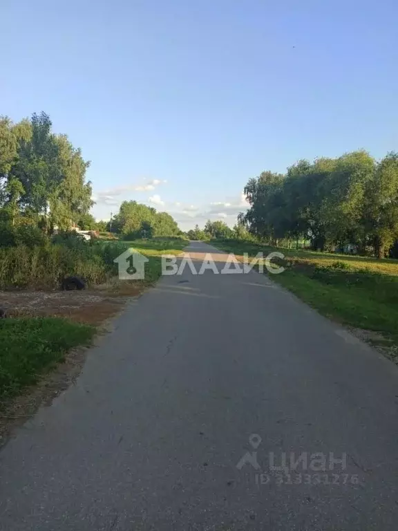 Участок в Владимирская область, Суздальский район, Селецкое ... - Фото 1