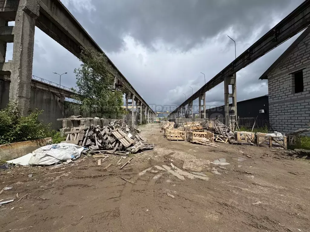Помещение свободного назначения в Смоленская область, Смоленск ул. ... - Фото 1