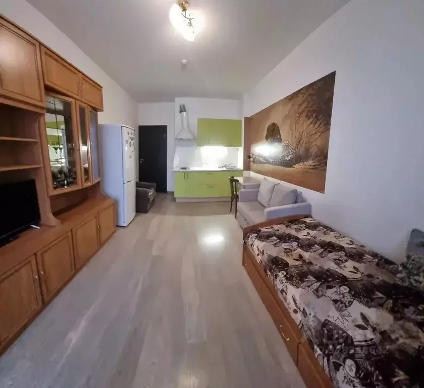 Студия Санкт-Петербург Союзный просп., 4 (23.7 м) - Фото 1