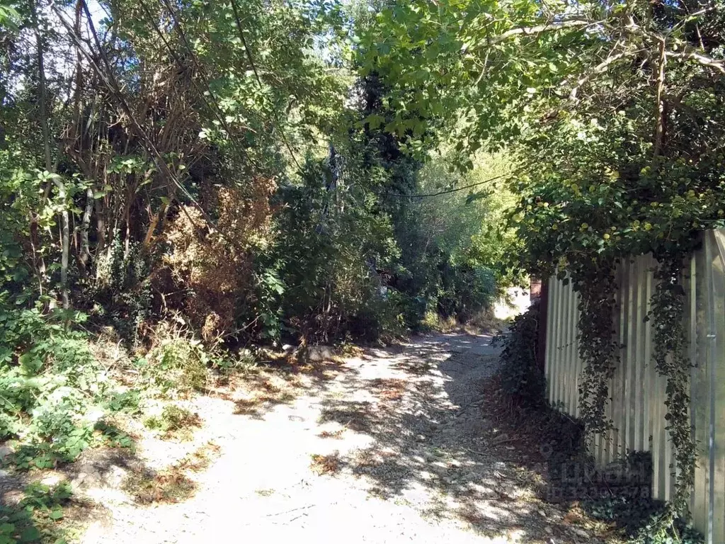 Участок в Крым, Ялта муниципальный округ, Голубой Залив пгт ул. ... - Фото 2