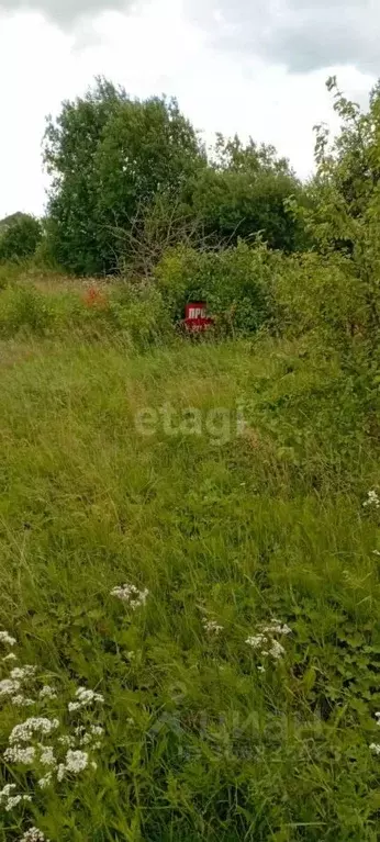 участок в ленинградская область, ломоносовский район, виллозское . - Фото 0