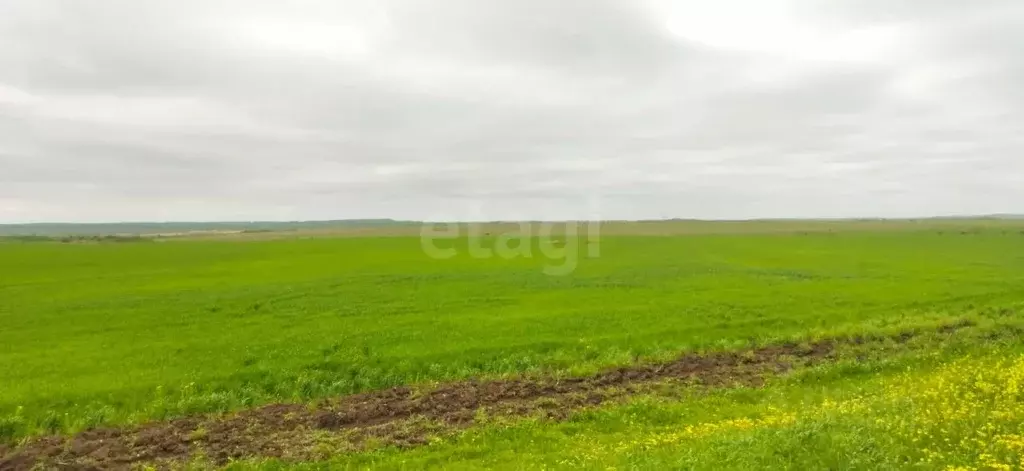 Участок в Крым, Кировский район, Яркополенское с/пос, с. Софиевка ул. ... - Фото 1