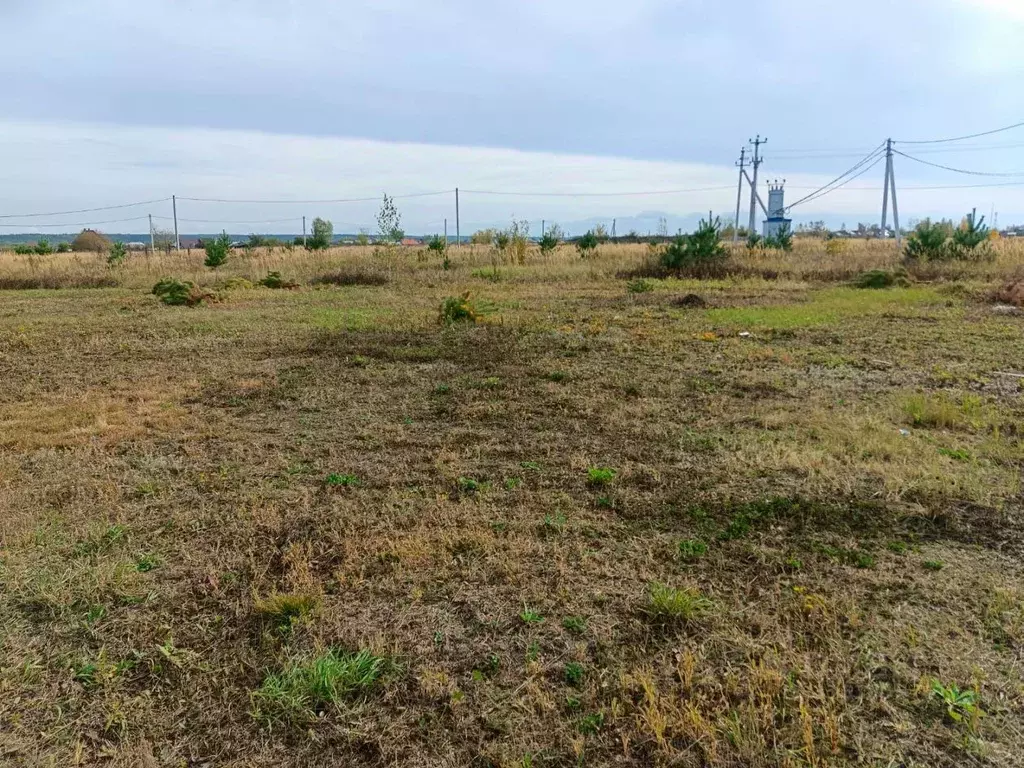 Участок в Тамбовская область, Тамбовский муниципальный округ, пос. ... - Фото 2