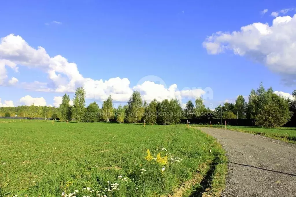 Участок в Тульская область, Заокский район, Малаховское с/пос, Нова ... - Фото 2