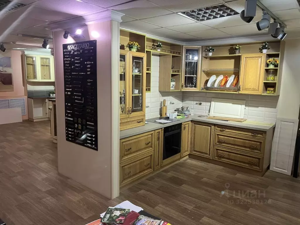 Помещение свободного назначения в Пензенская область, Пенза ул. ... - Фото 1