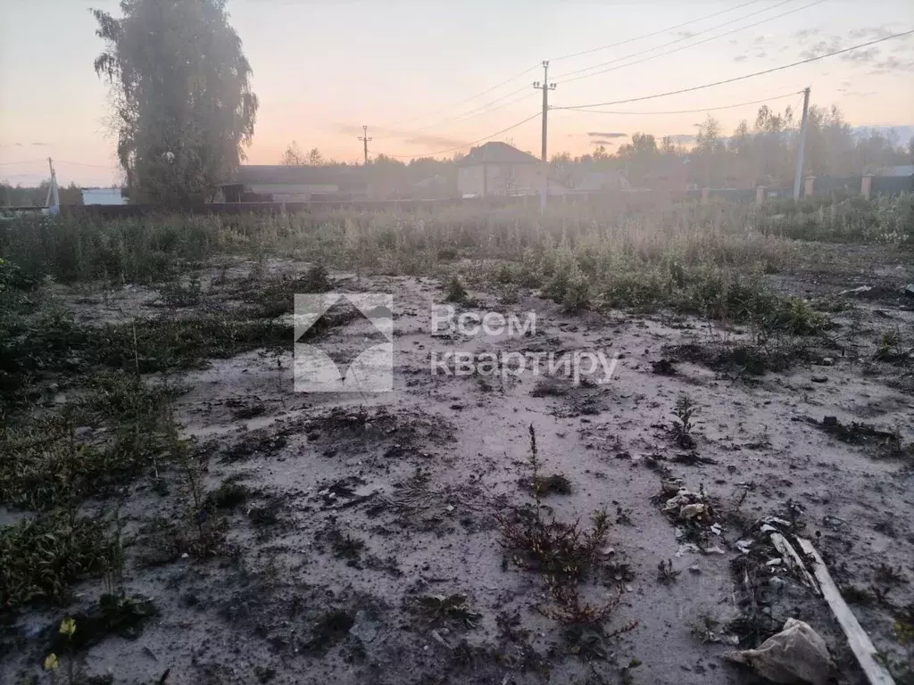 Участок в Новосибирская область, Новосибирский район, Кудряшовский ... - Фото 2