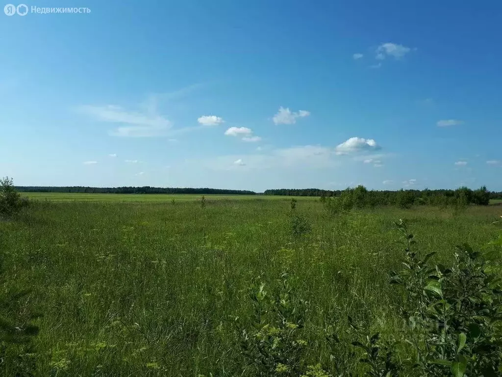 Участок в Палимовка, улица 70 лет Победы (10 м) - Фото 0