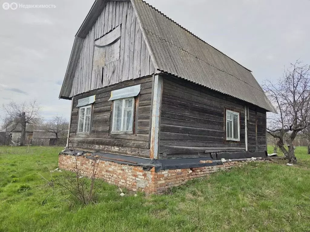 Дом в Курский район, Бесединский сельсовет, деревня 1-е Красниково ... - Фото 2