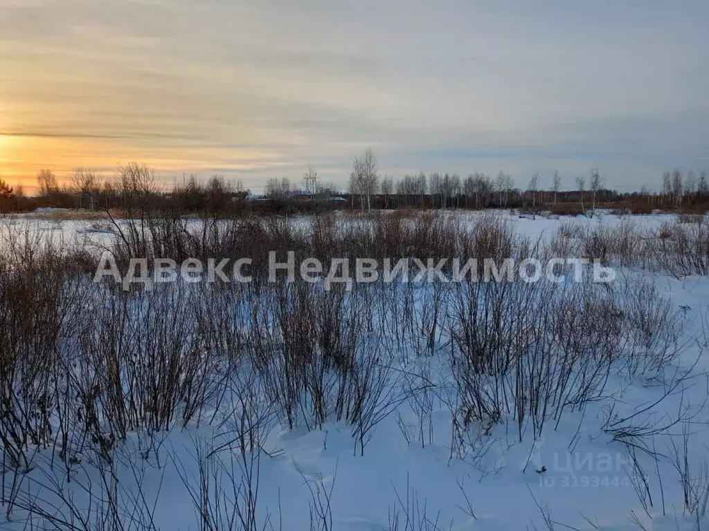 Участок в Тюменская область, Тюмень  (220.0 сот.) - Фото 0
