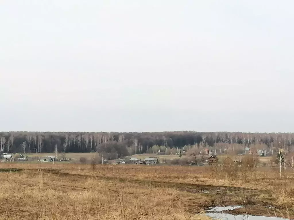 Участок в Тульская область, Ясногорский район, Ревякинское ... - Фото 1