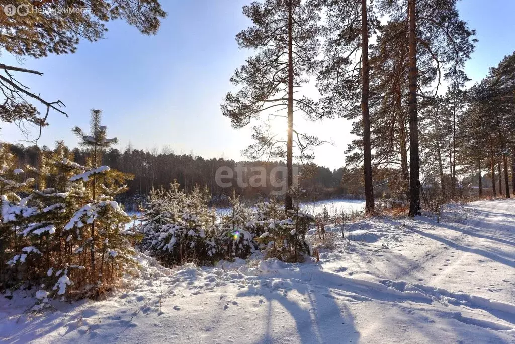 Помещение свободного назначения (500 м) - Фото 1