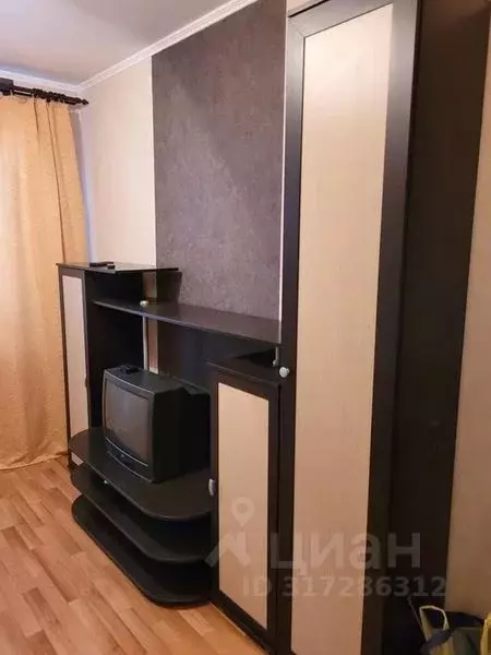 Студия Новосибирская область, Новосибирск Рябиновая ул., 10/1 (24.0 м) - Фото 1