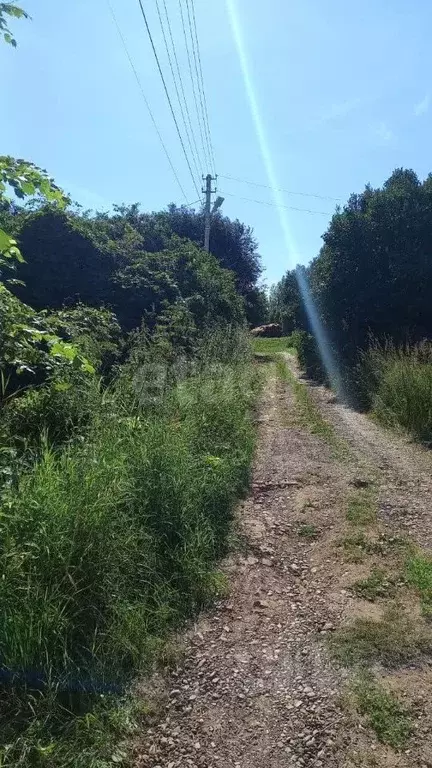 Участок в Пермский край, Чайковский городской округ, с. Ольховка ул. ... - Фото 2